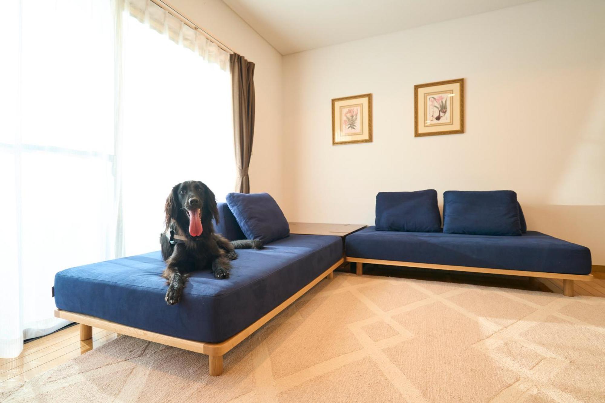 Suite Villa Izukogen Prime Ito  Esterno foto